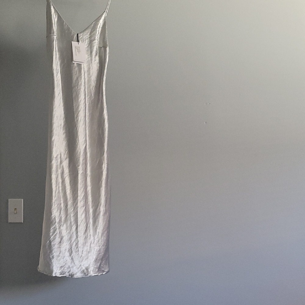 Elegant Siler Slip Dress LNA BRAND